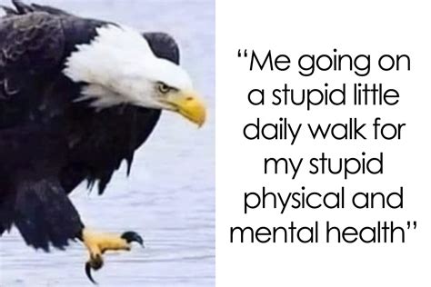 environmentalist meme|People Are Creating Memes About Nature And All .